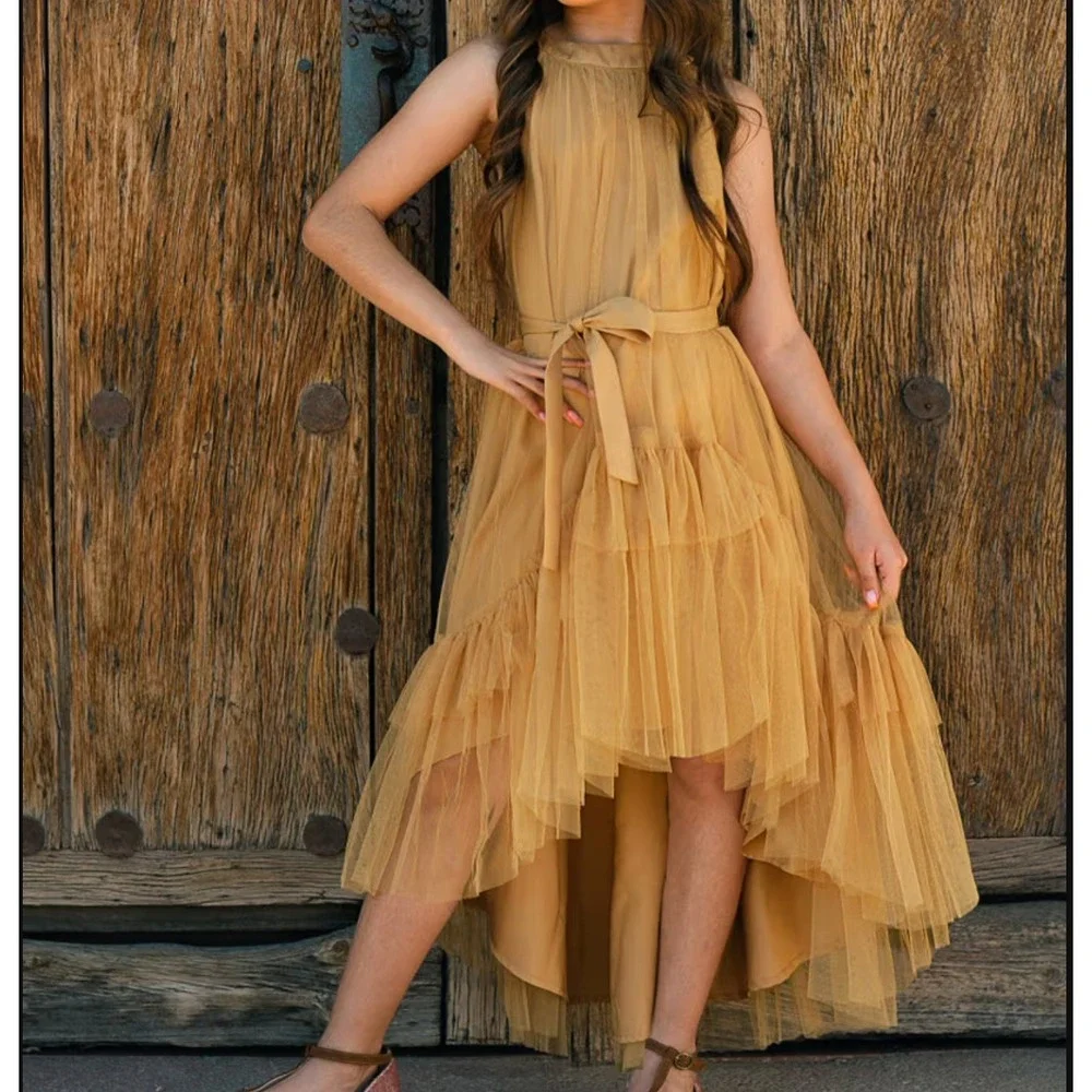 Joyfolie Fay Dress Honey Tulle Tiered High Low Special Occasion Kids 2 NWT
